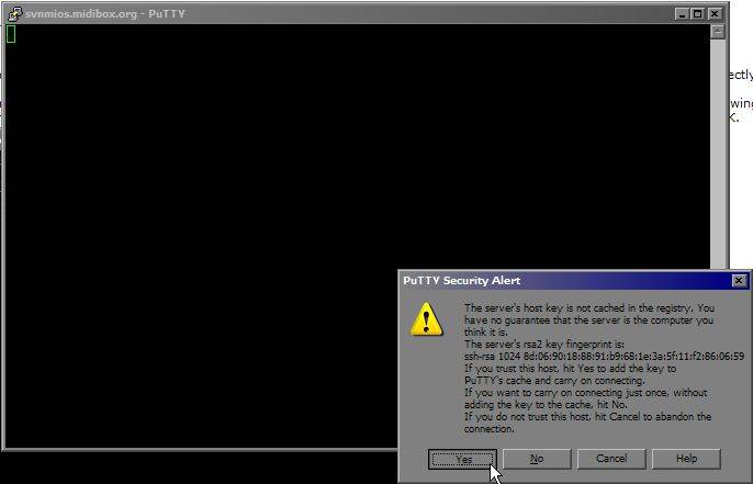putty5.jpg putty5.jpg